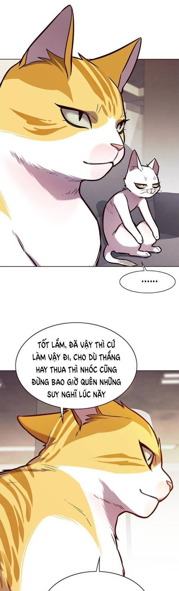Hoá Thân Thành Mèo Chap 173 - Next Chap 174