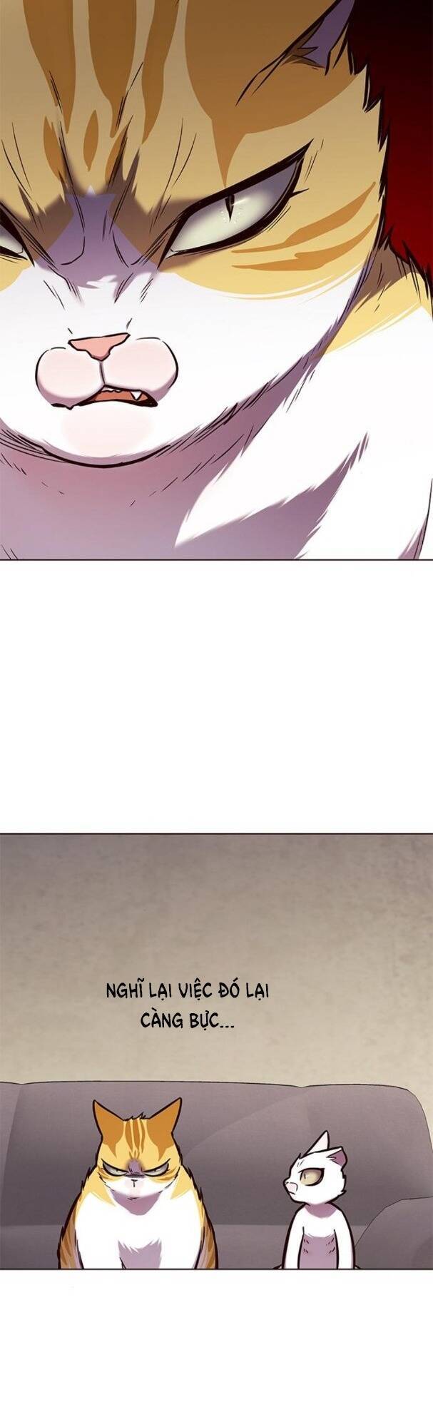 Hoá Thân Thành Mèo Chap 173 - Next Chap 174