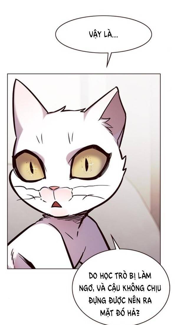 Hoá Thân Thành Mèo Chap 173 - Next Chap 174