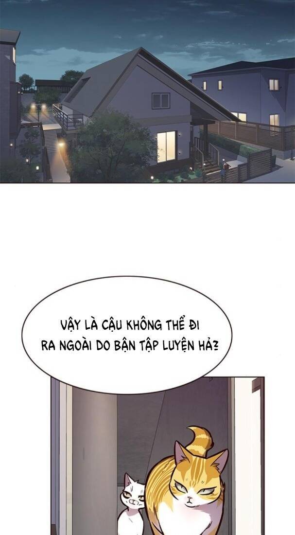 Hoá Thân Thành Mèo Chap 173 - Next Chap 174