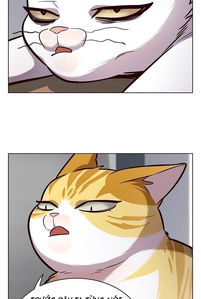 Hoá Thân Thành Mèo Chap 187 - Next Chap 188