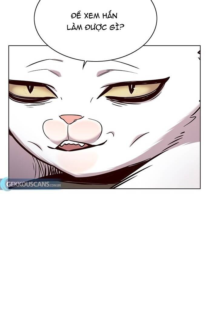 Hoá Thân Thành Mèo Chap 187 - Next Chap 188