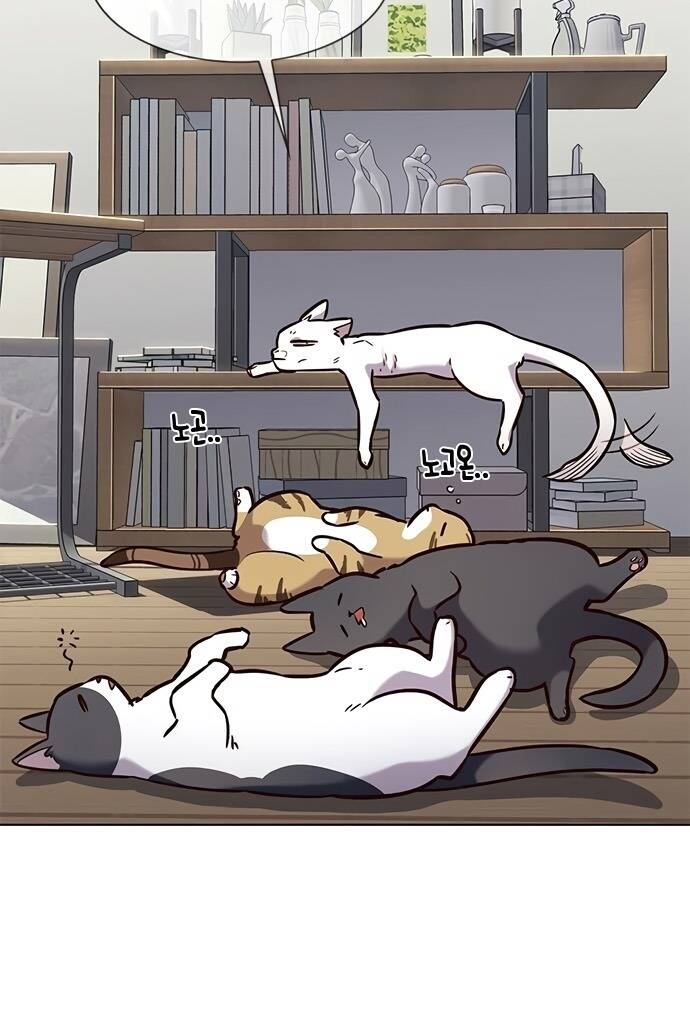 Hoá Thân Thành Mèo Chap 187 - Next Chap 188