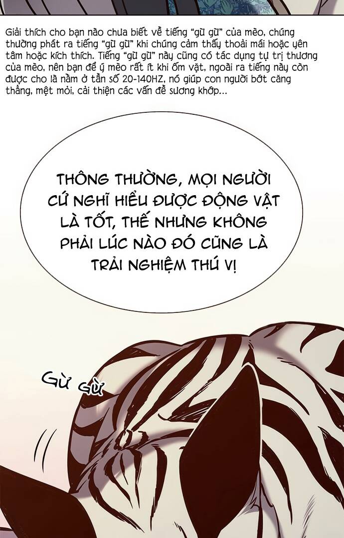 Hoá Thân Thành Mèo Chap 188 - Next Chap 189