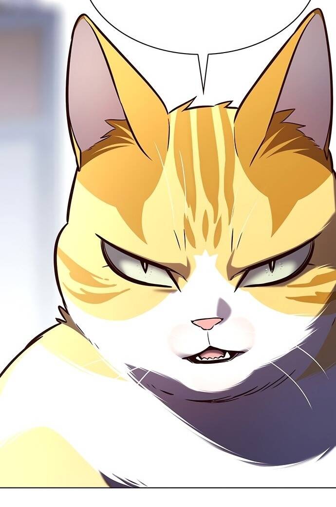 Hoá Thân Thành Mèo Chap 189 - Next Chap 190