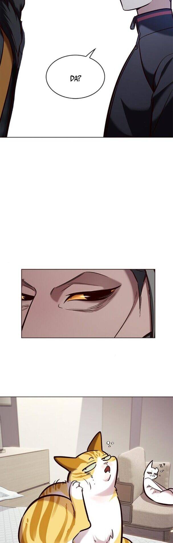 Hoá Thân Thành Mèo Chap 195 - Next Chap 196