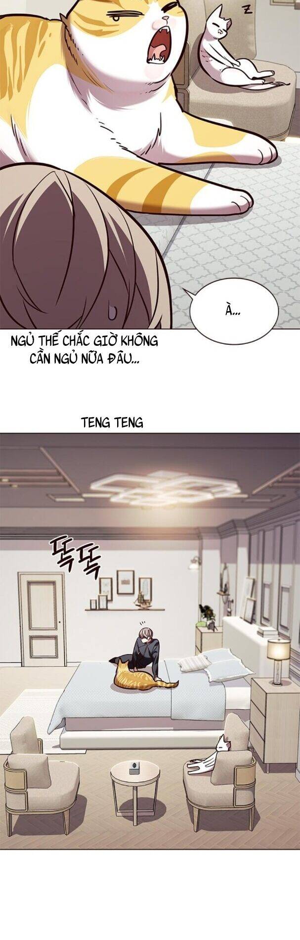 Hoá Thân Thành Mèo Chap 195 - Next Chap 196