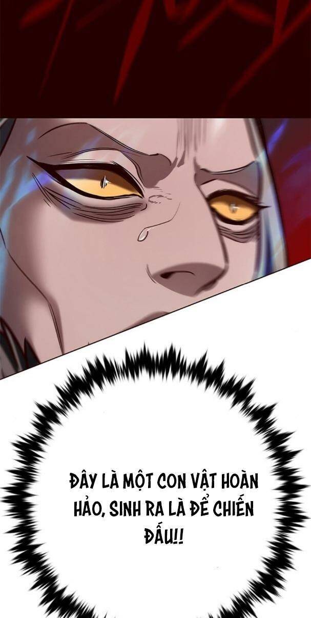 Hoá Thân Thành Mèo Chap 195 - Next Chap 196