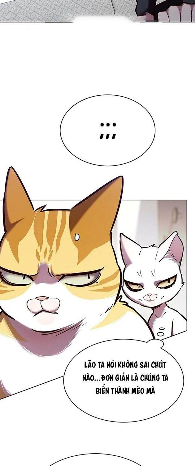 Hoá Thân Thành Mèo Chap 196 - Next Chap 197