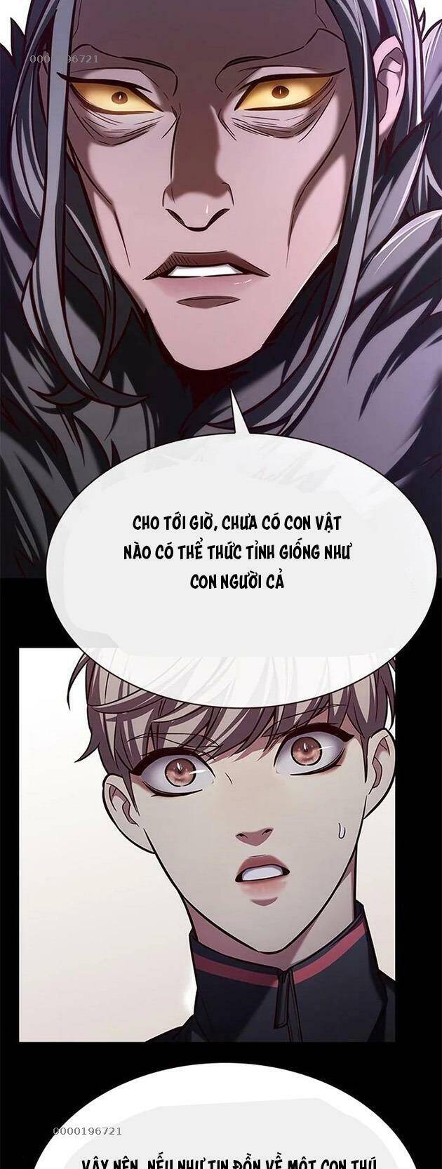 Hoá Thân Thành Mèo Chap 196 - Next Chap 197