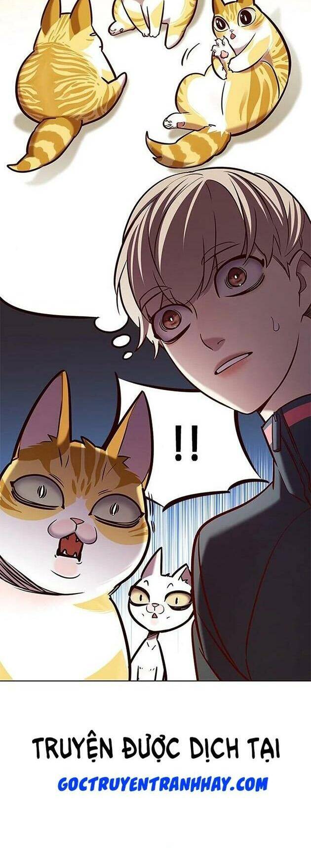 Hoá Thân Thành Mèo Chap 196 - Next Chap 197