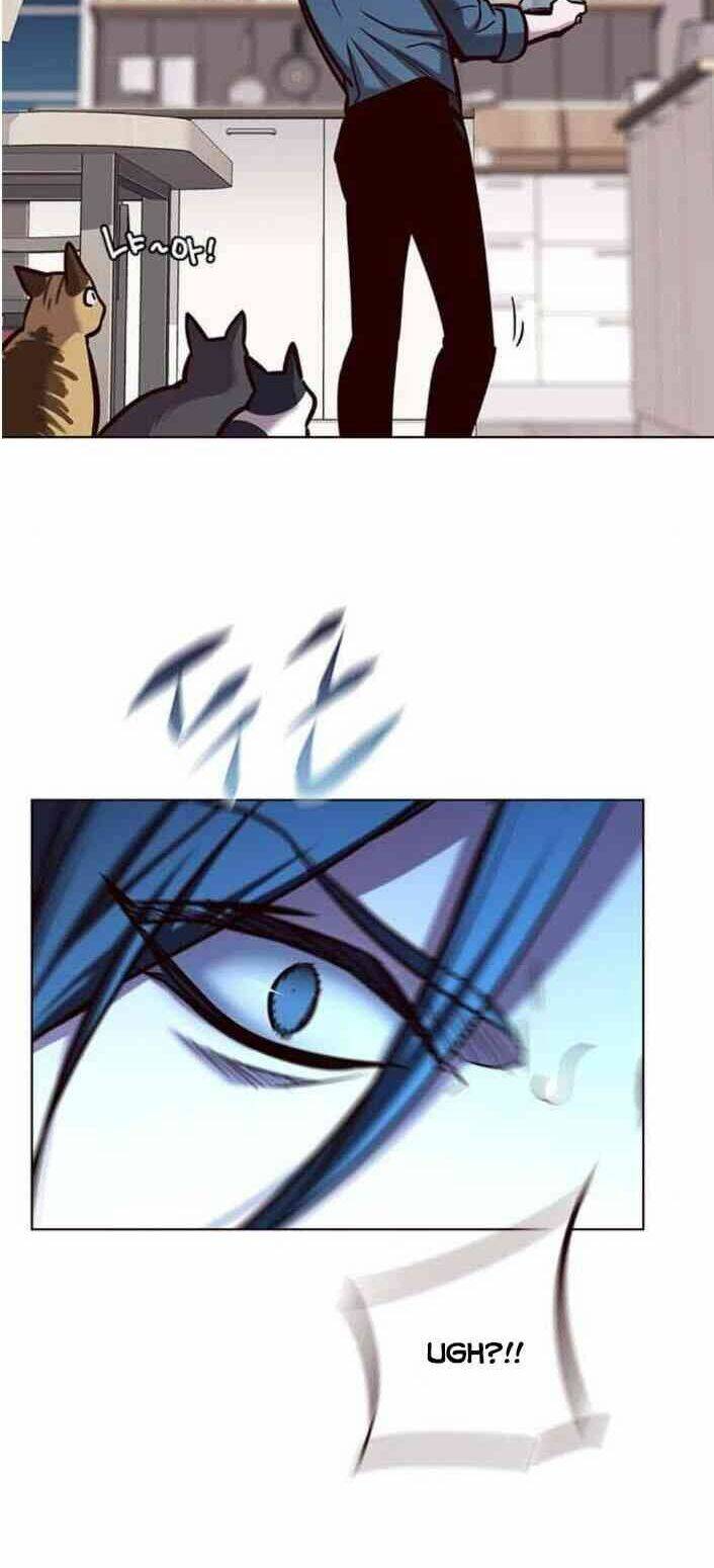 Hoá Thân Thành Mèo Chap 138 - Next Chap 139