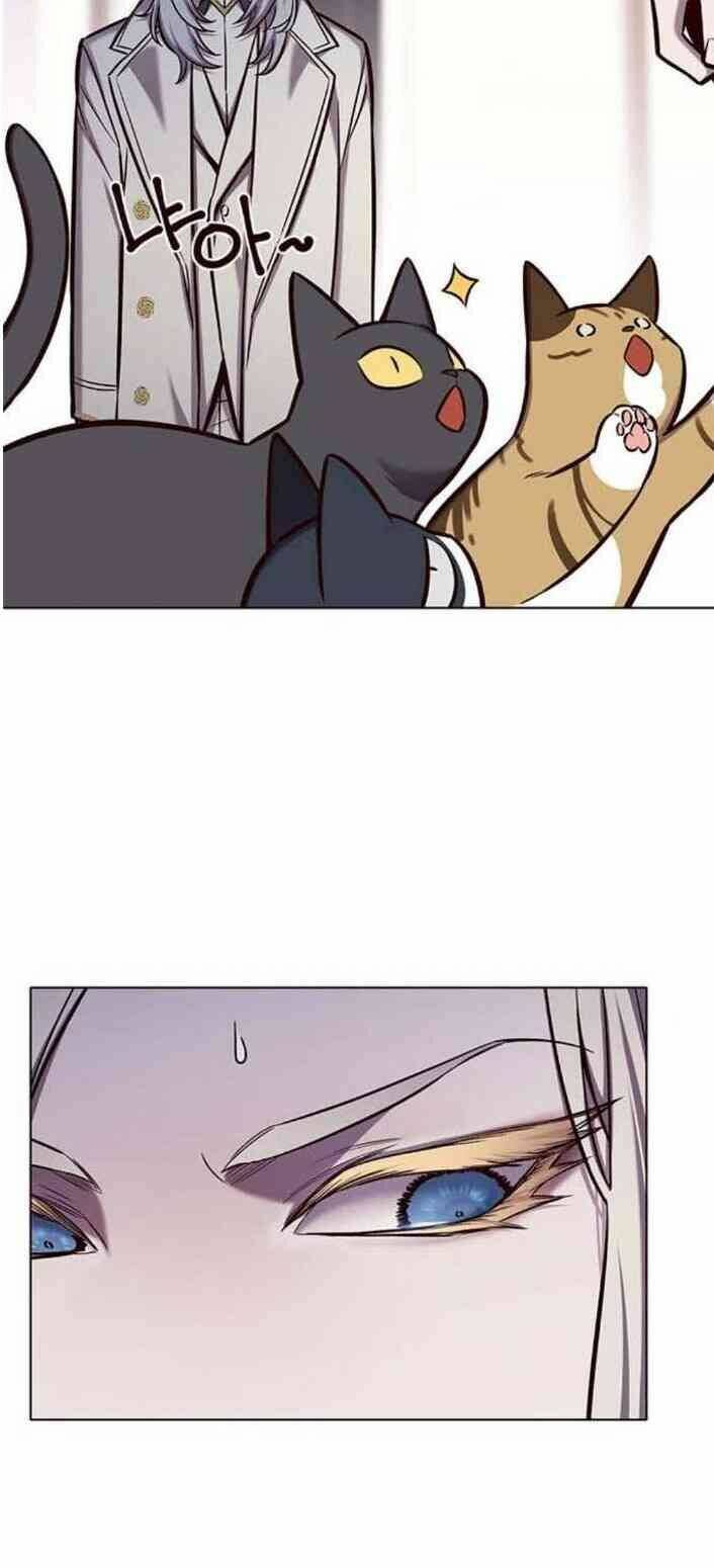 Hoá Thân Thành Mèo Chap 138 - Next Chap 139