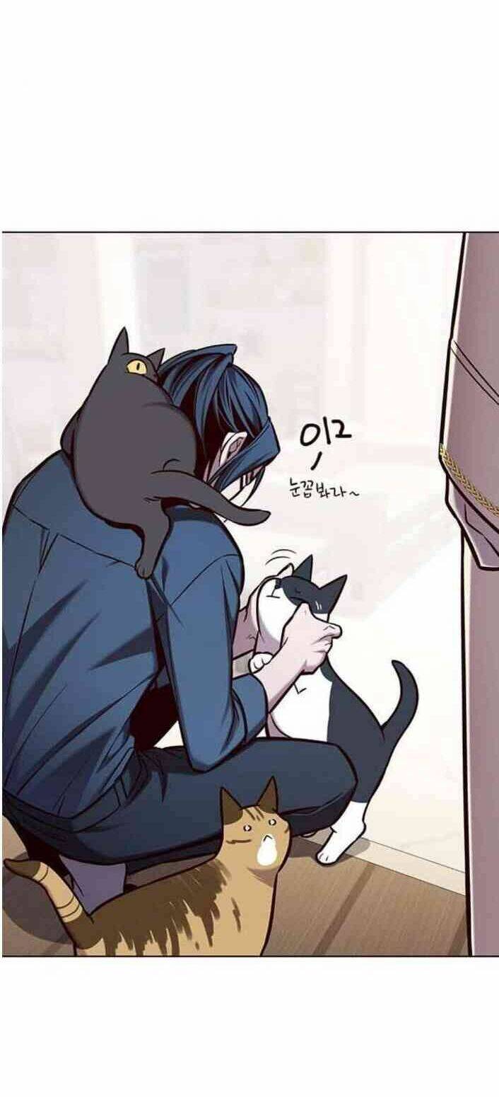 Hoá Thân Thành Mèo Chap 138 - Next Chap 139