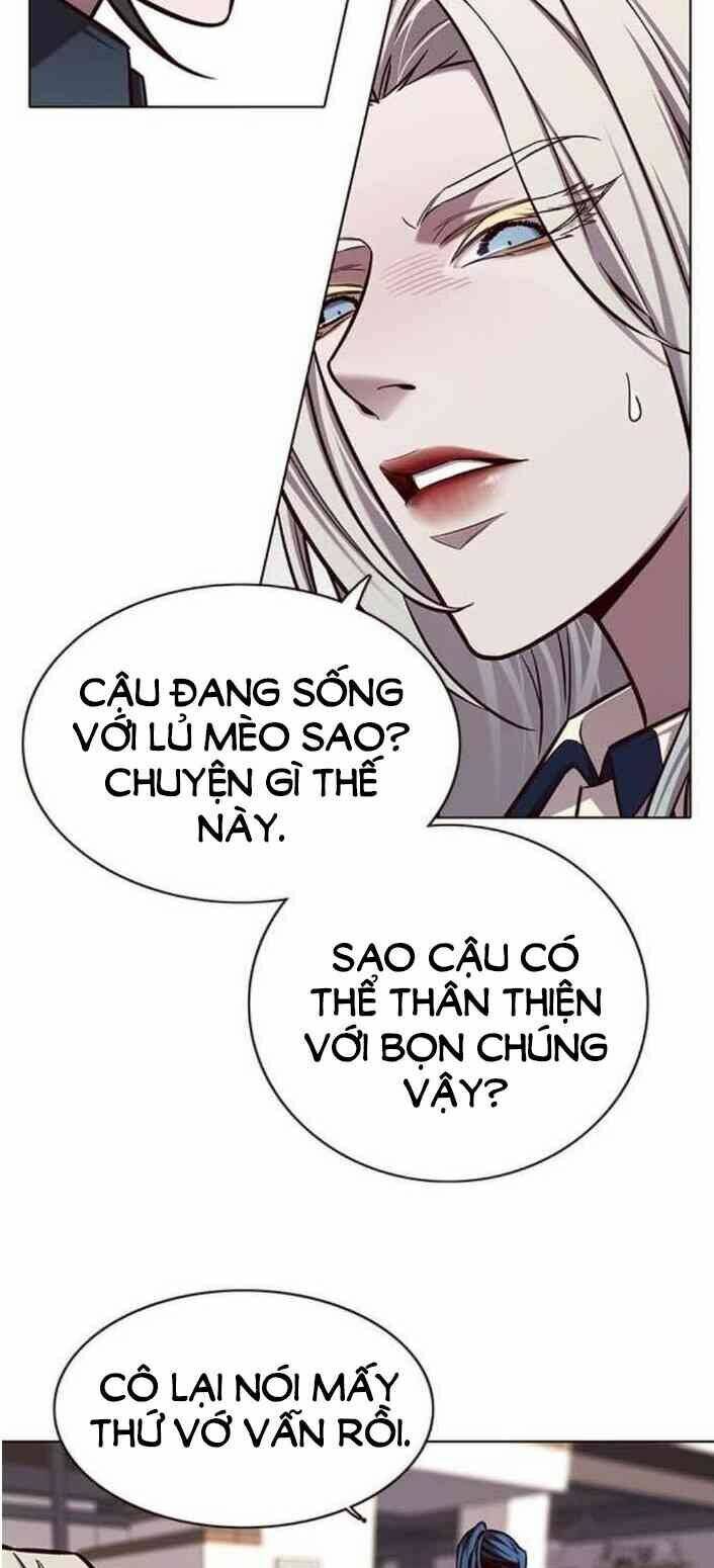 Hoá Thân Thành Mèo Chap 138 - Next Chap 139