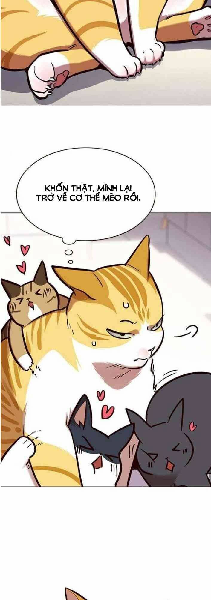 Hoá Thân Thành Mèo Chap 138 - Next Chap 139