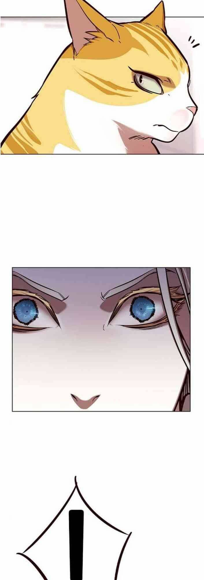 Hoá Thân Thành Mèo Chap 138 - Next Chap 139