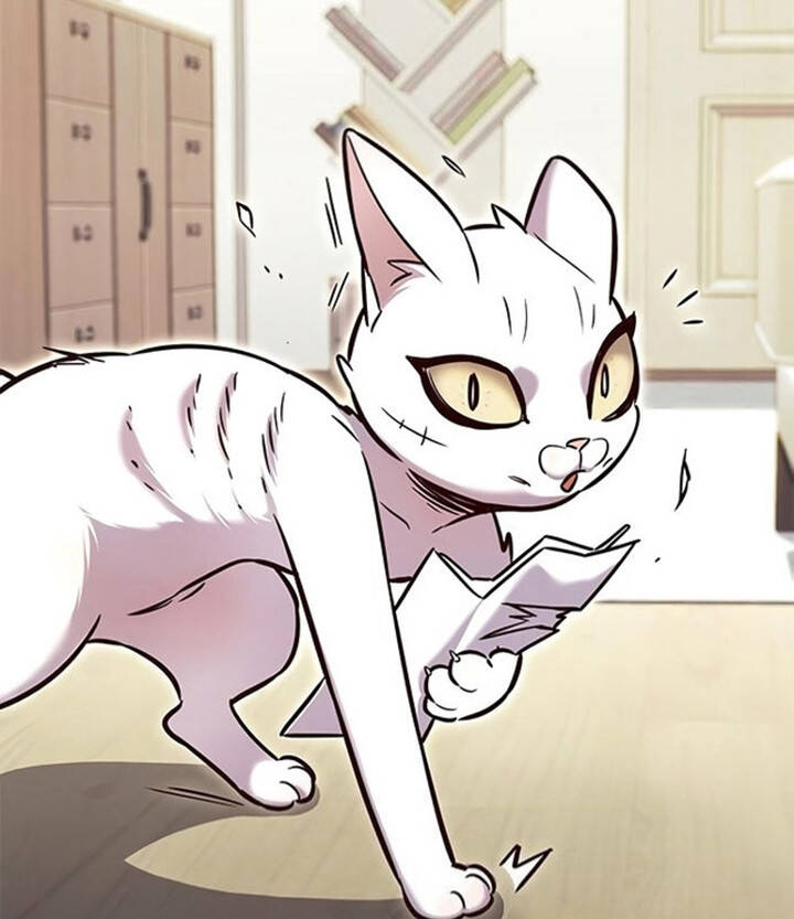 Hoá Thân Thành Mèo Chap 200 - Next Chap 201