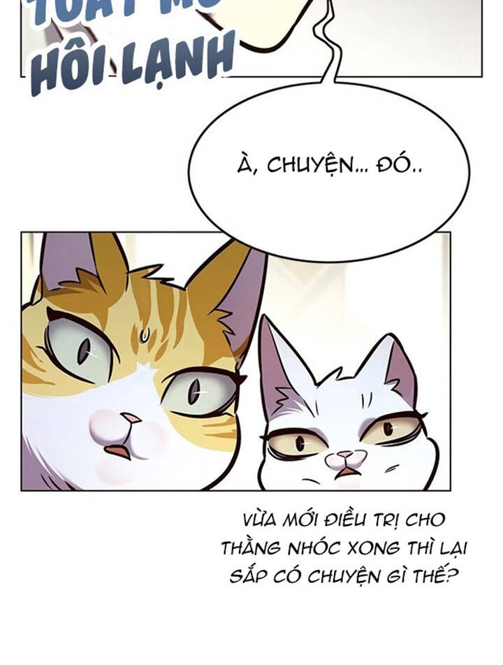 Hoá Thân Thành Mèo Chap 200 - Next Chap 201