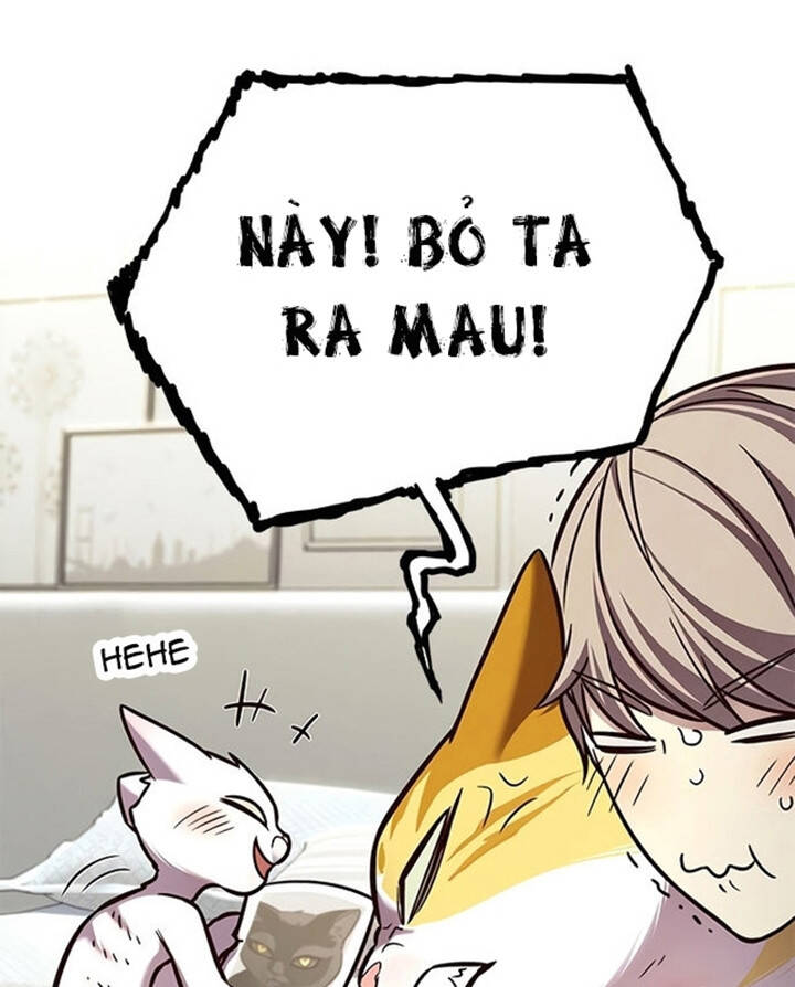 Hoá Thân Thành Mèo Chap 200 - Next Chap 201