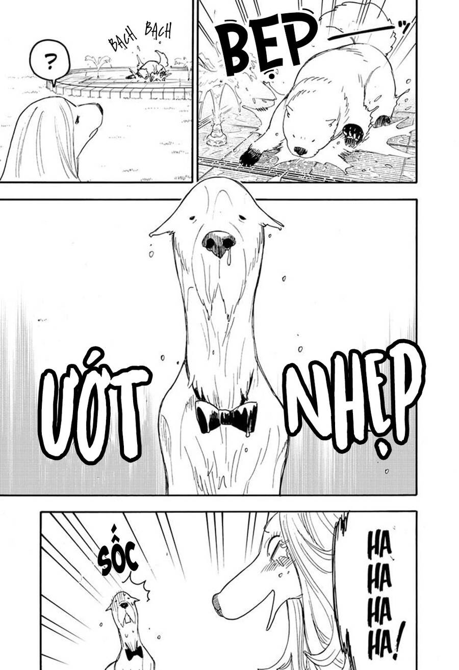 Gia Đình Điệp Viên Chap 62.6 - Next Chap 63.6