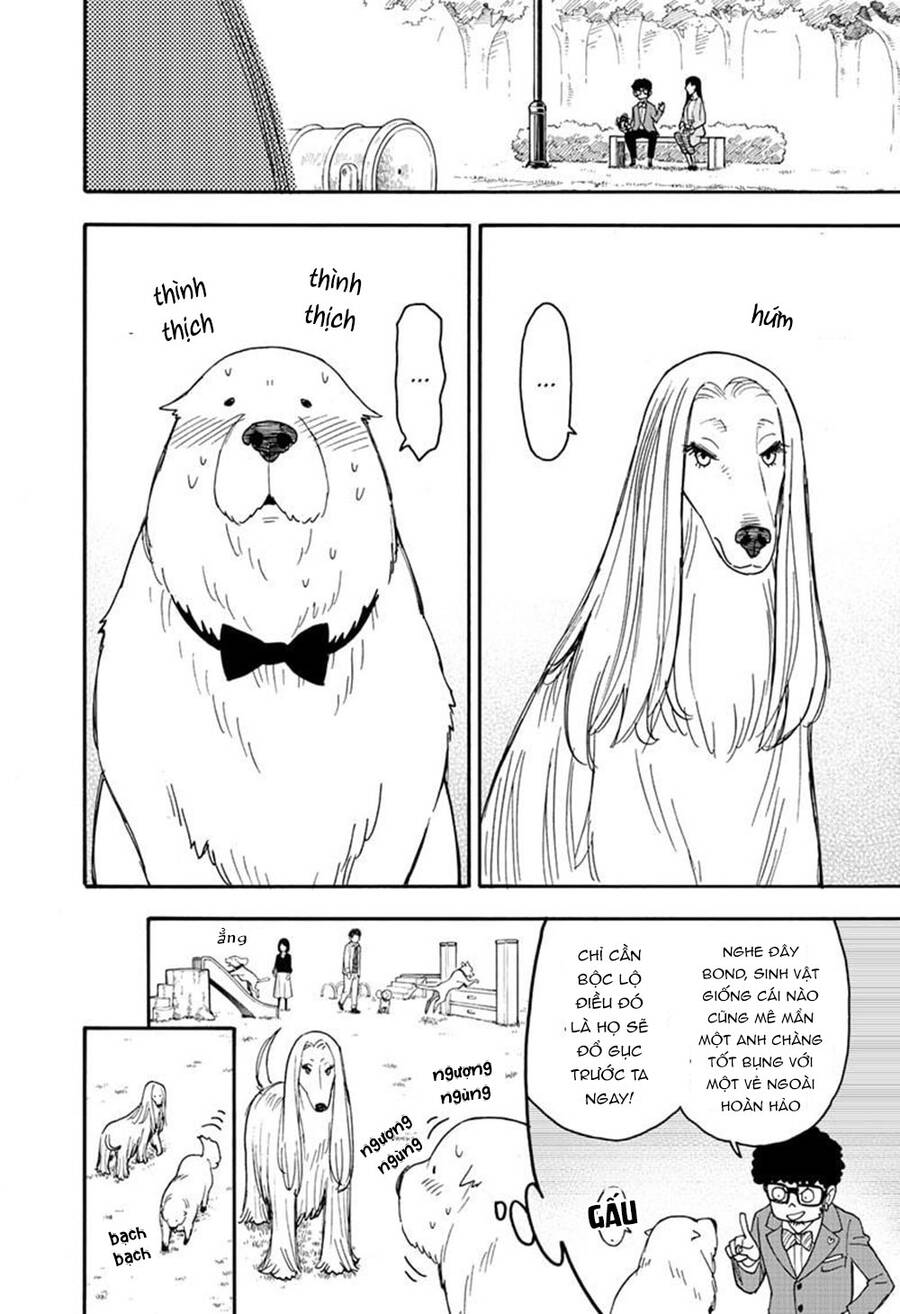 Gia Đình Điệp Viên Chap 62.6 - Next Chap 63.6