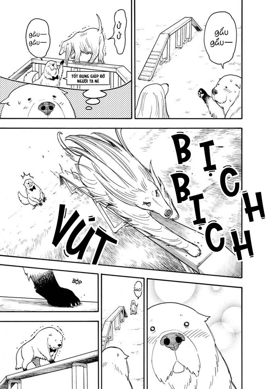 Gia Đình Điệp Viên Chap 62.6 - Next Chap 63.6