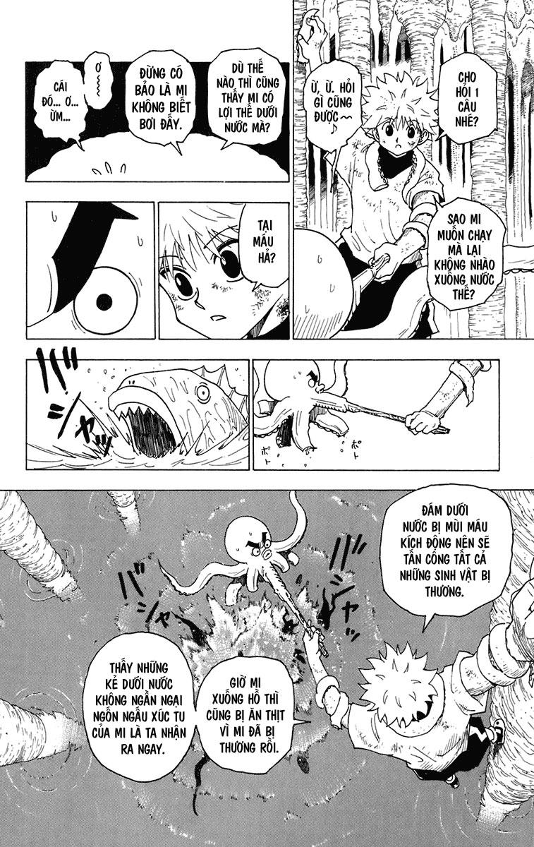 Hunter x Hunter Chap 238 - Next Chap 239