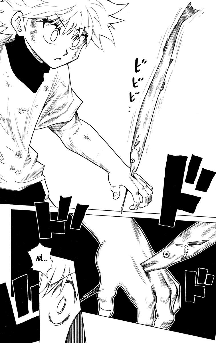 Hunter x Hunter  Chap 239 - Next Chap 240