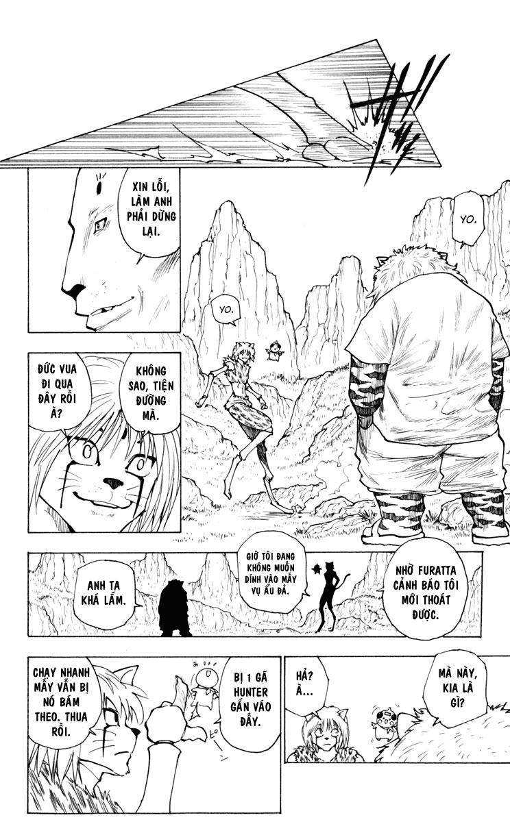 Hunter x Hunter Chap 235 - Next Chap 236