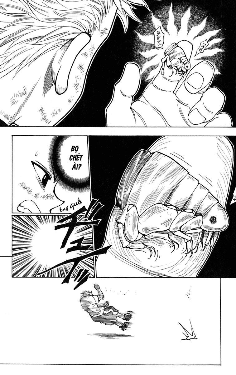 Hunter x Hunter  Chap 236 - Next Chap 237