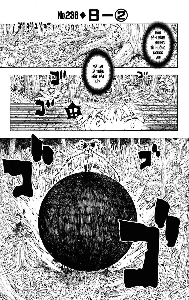 Hunter x Hunter  Chap 236 - Next Chap 237