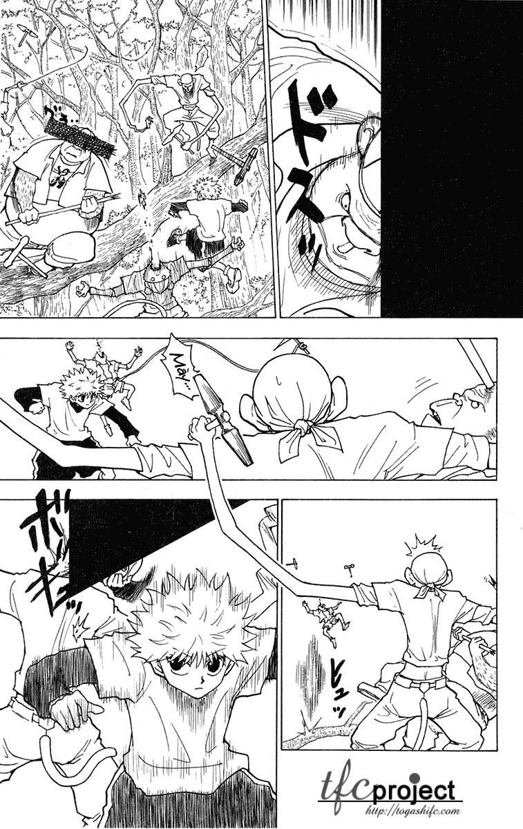 Hunter x Hunter  Chap 236 - Next Chap 237