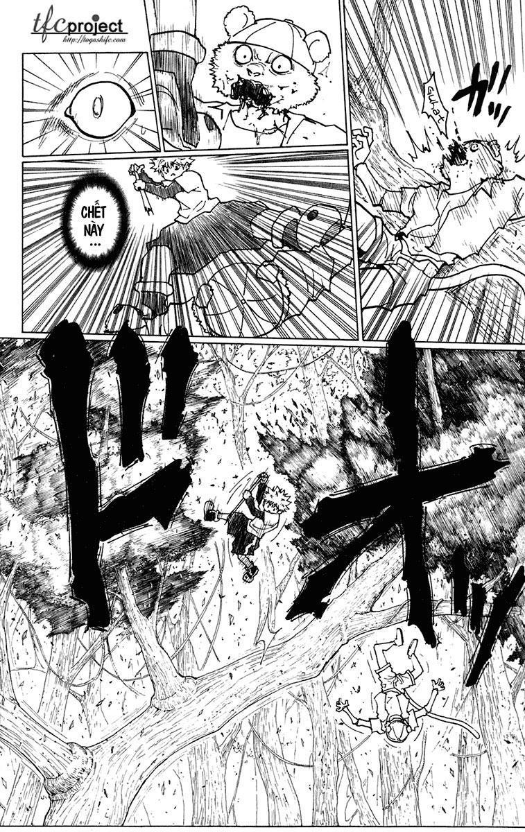 Hunter x Hunter  Chap 236 - Next Chap 237