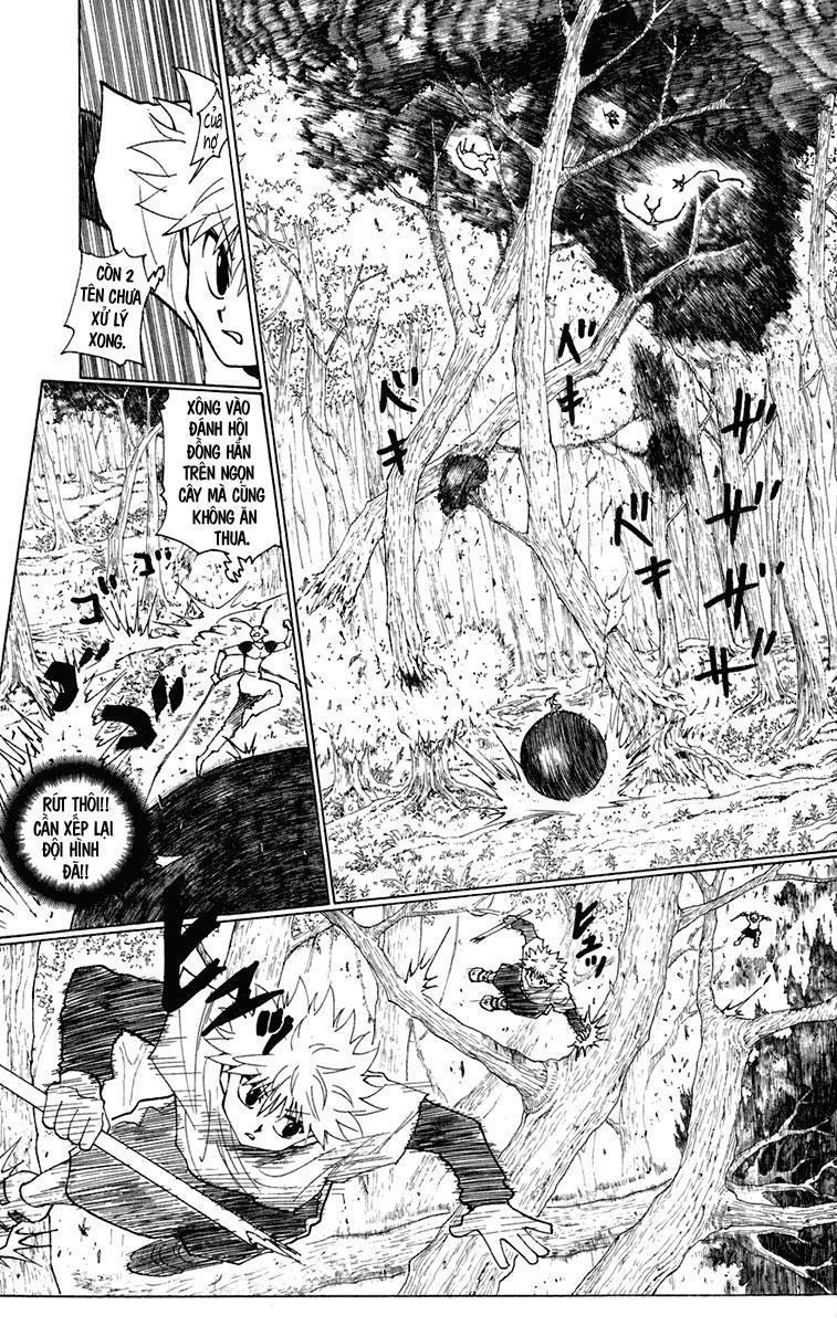 Hunter x Hunter  Chap 236 - Next Chap 237