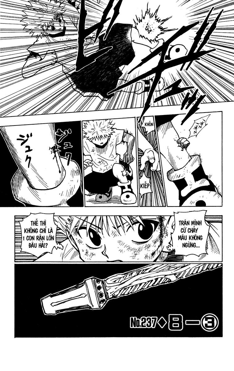 Hunter x Hunter  Chap 237 - Next Chap 238