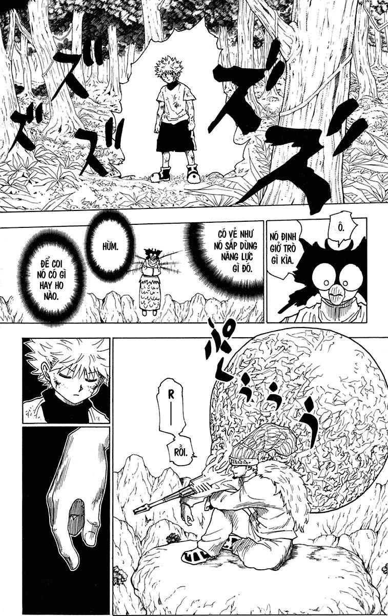 Hunter x Hunter  Chap 237 - Next Chap 238