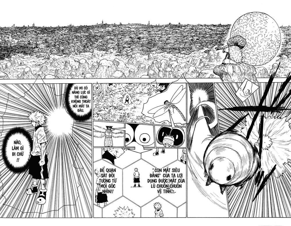 Hunter x Hunter  Chap 237 - Next Chap 238