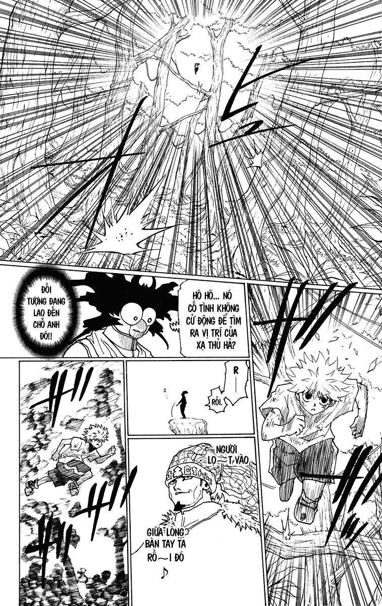 Hunter x Hunter  Chap 237 - Next Chap 238