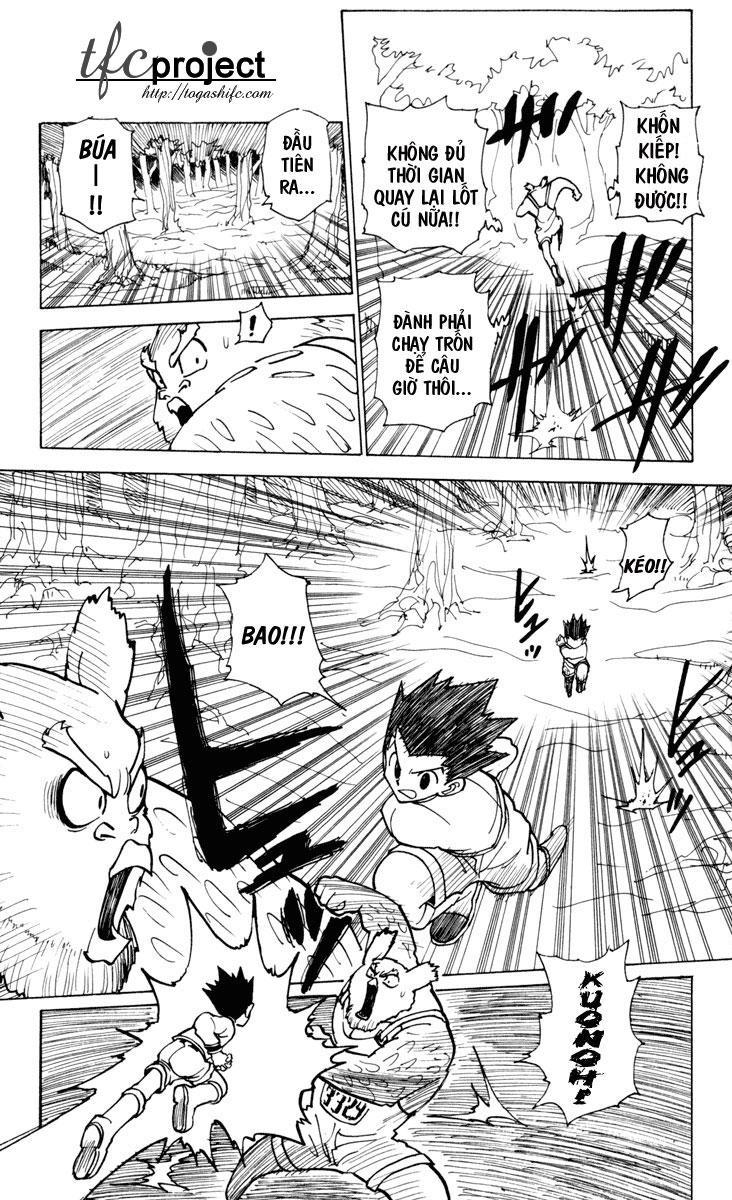 Hunter x Hunter  Chap 233 - Next Chap 234