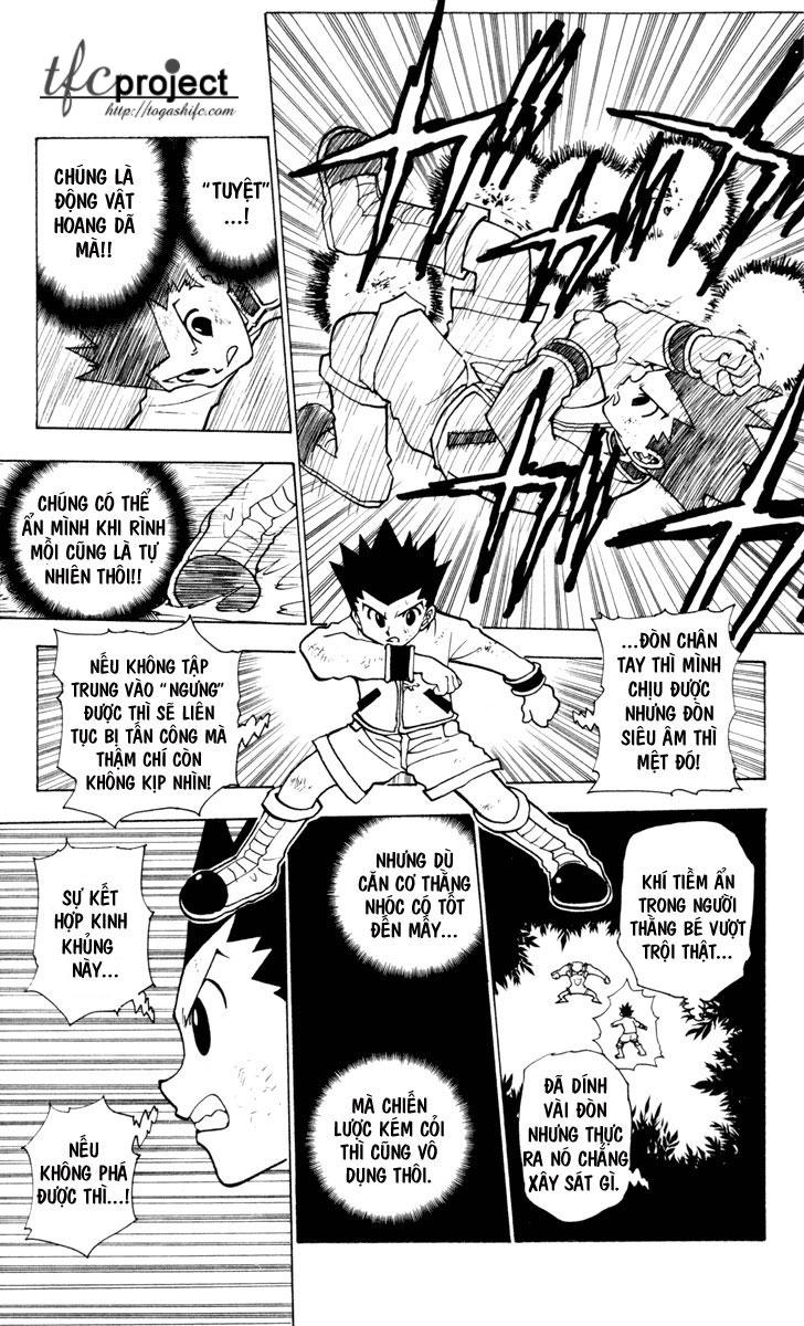 Hunter x Hunter  Chap 233 - Next Chap 234