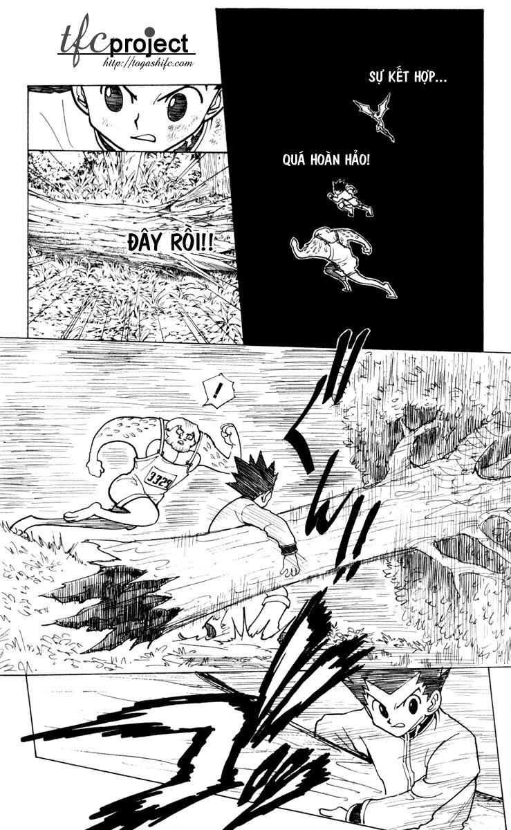 Hunter x Hunter  Chap 233 - Next Chap 234