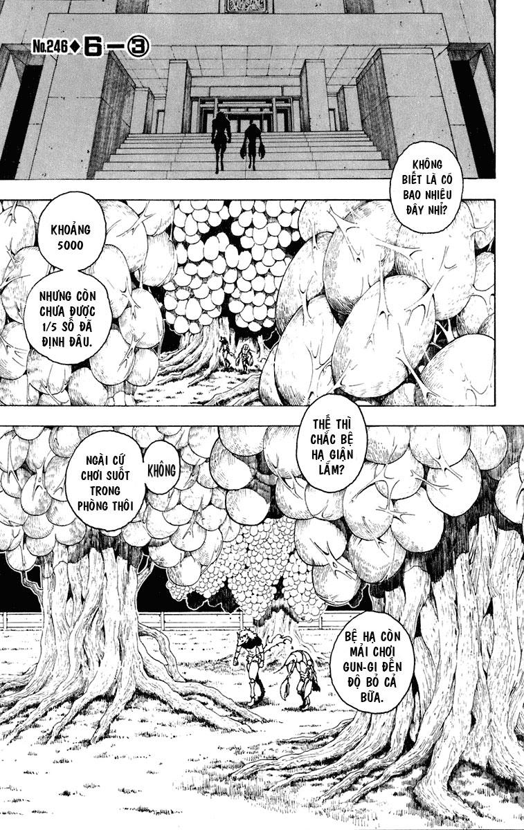 Hunter x Hunter Chap 246 - Next Chap 247