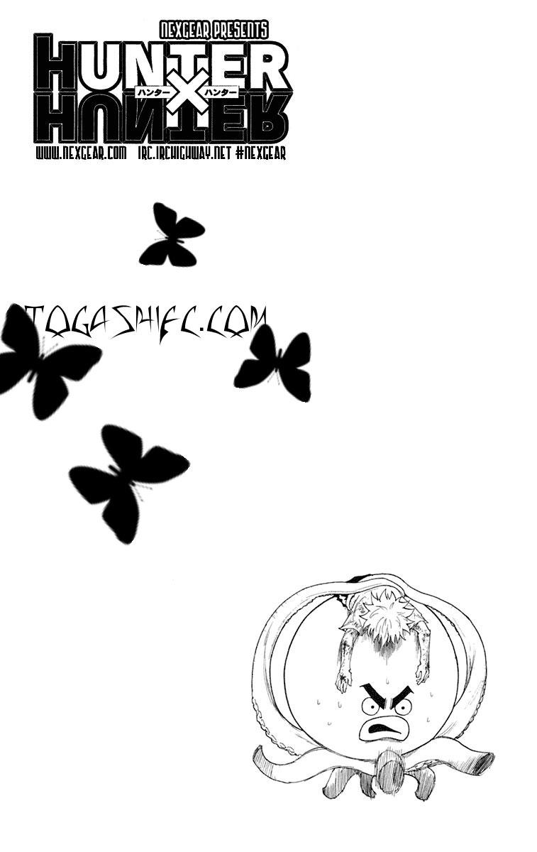 Hunter x Hunter  Chap 241 - Next Chap 242
