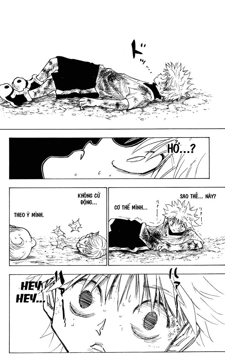 Hunter x Hunter  Chap 241 - Next Chap 242