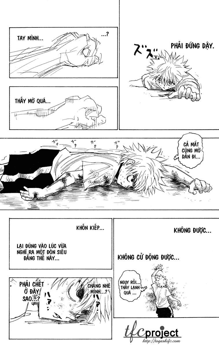 Hunter x Hunter  Chap 241 - Next Chap 242