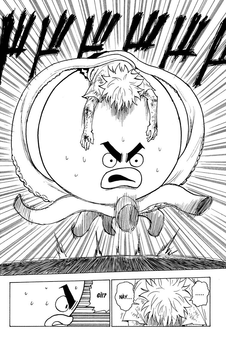 Hunter x Hunter  Chap 241 - Next Chap 242