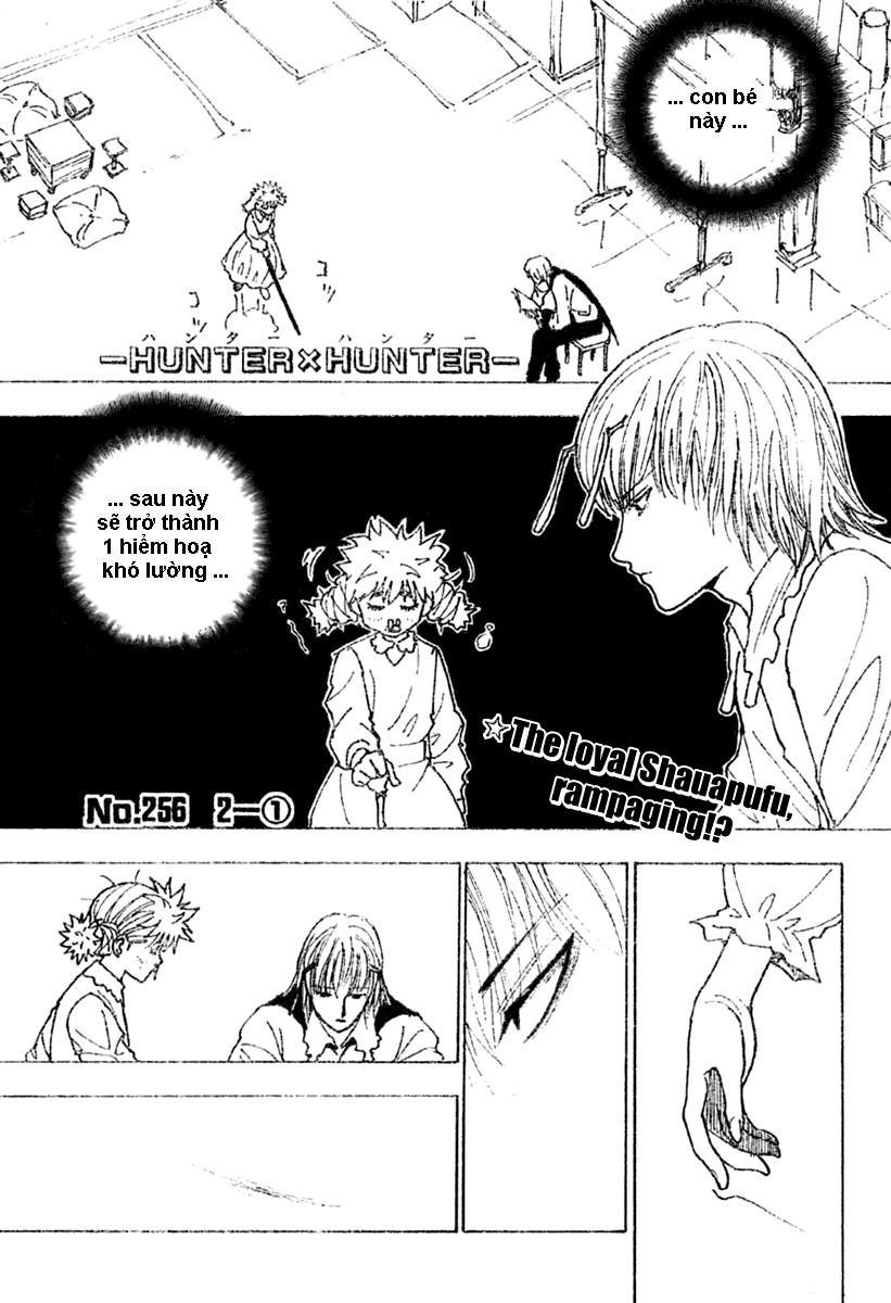Hunter x Hunter  Chap 256 - Next Chap 257