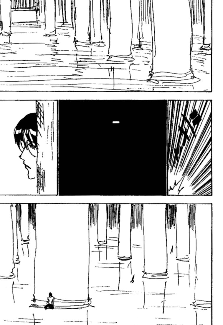 Hunter x Hunter  Chap 251 - Next Chap 252