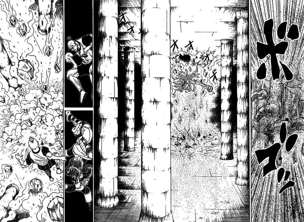 Hunter x Hunter Chap 291 - Next Chap 292